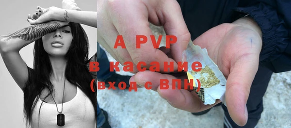 СК Козловка