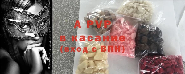 шишки Корсаков